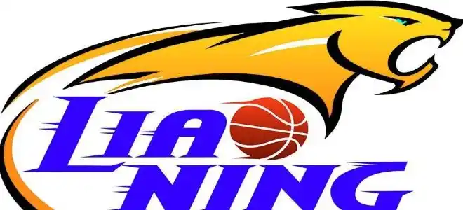 支持辽宁回归猎人元素,支持待选方案.