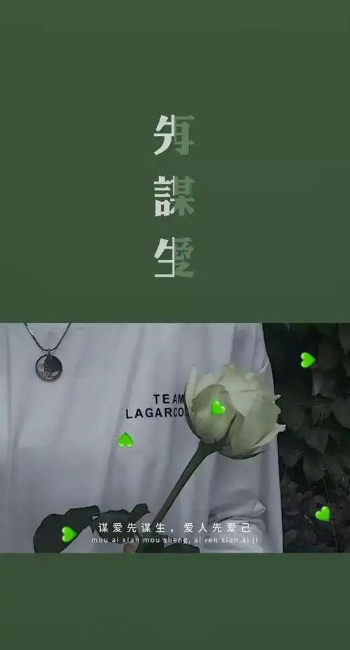 精选超酷非主流手机壁纸聊天背景