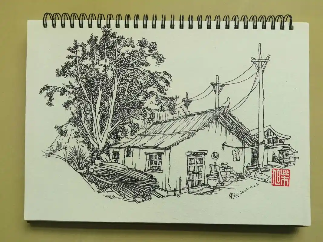 田园风光 #钢笔画 #风景速写#世界读书日 又是一年写生季 - 抖音