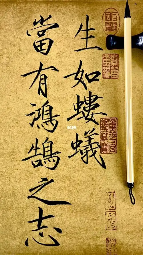 生如蝼蚁当有鸿鹄之志书法瘦金