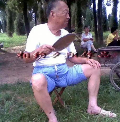 【转载】【转载】老年人如花卉