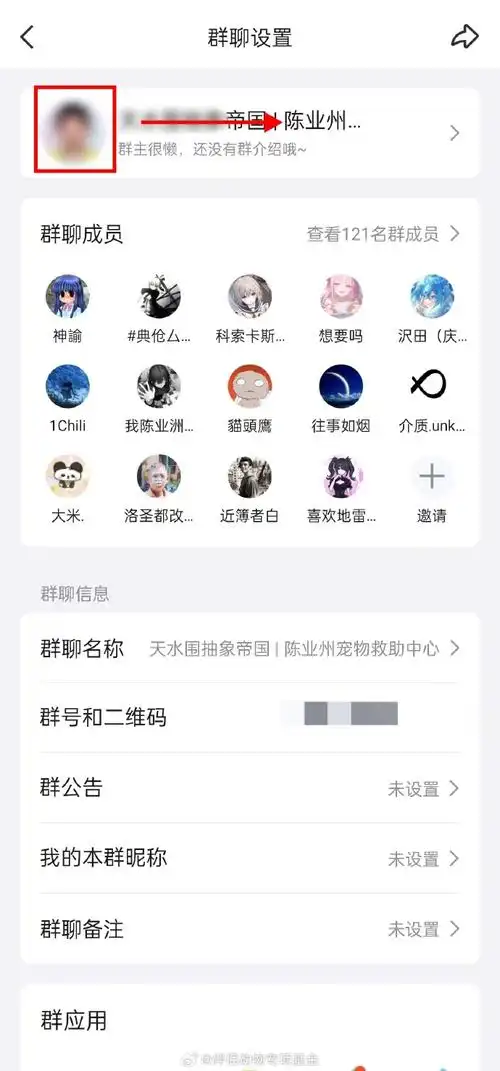 互联网无虐##qq群仍是虐猫团伙主要传播途径
