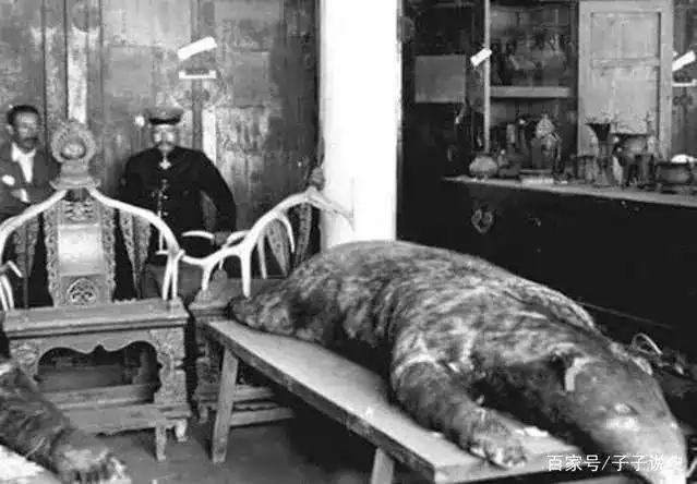 清朝老照片官员肥头大耳最后一位女子的容貌让我心跳加速