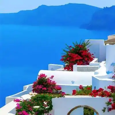 清新淡雅能带来好运的大自然风景头像