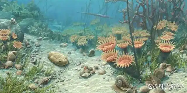 在早古生代,无脊椎动物的发展可谓是空前繁盛.