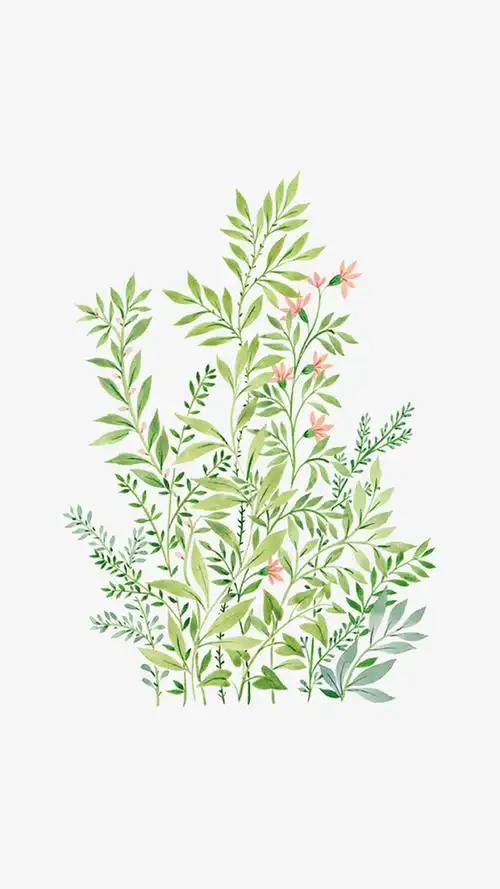 手绘植物免抠素材免费下载_觅元素51yuansu.com