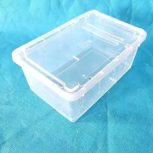 昆虫饲养盒昆虫采集盒全透明养虫盒带气孔智科