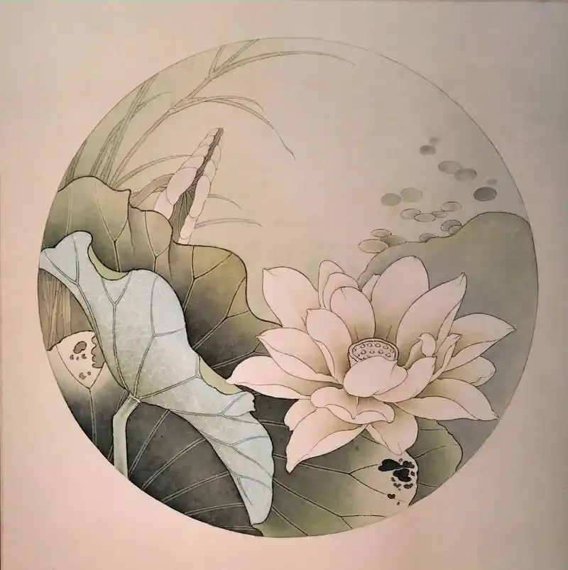 步骤及用色.#工笔画 #荷花 #纯手绘 #家居挂画 - 抖音