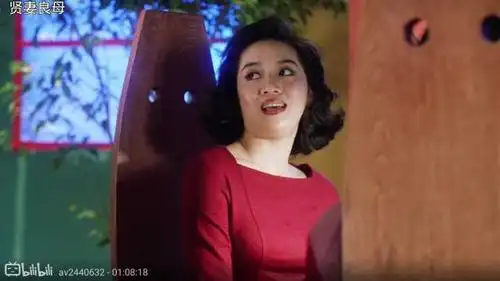 想问问梅迷是怎么认识并且喜欢上梅艳芳的?