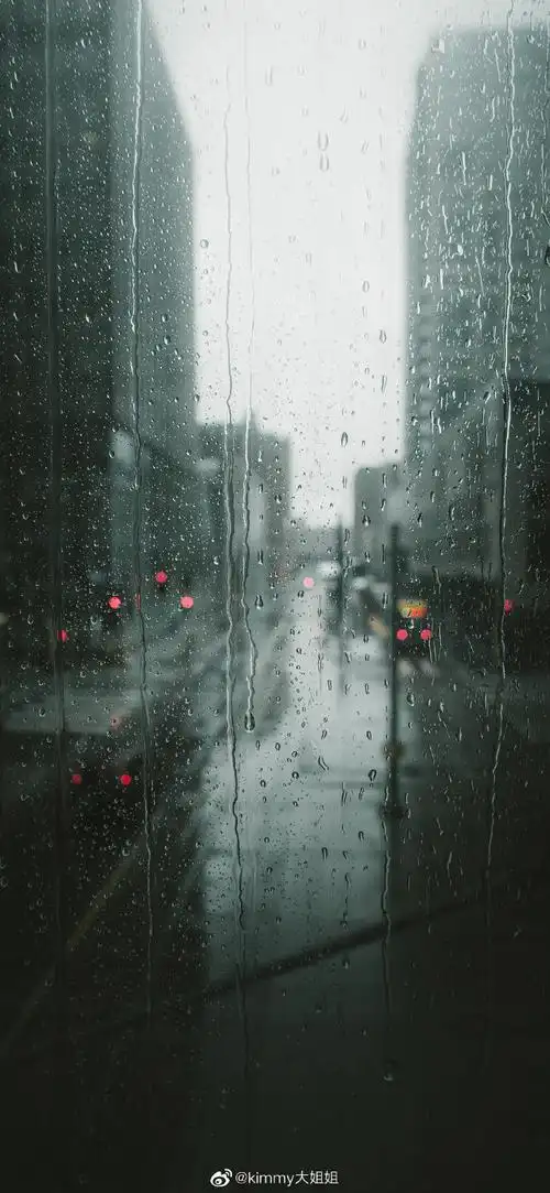 城市雨景大赏
