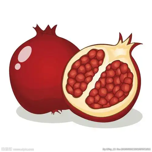 矢量卡通石榴图片