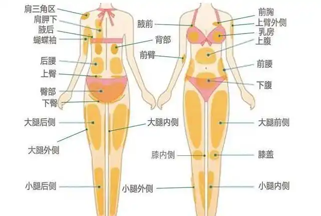 吸脂减肥适合各主要脏器没有器质性病变的单纯性肥胖者,以皮下脂肪