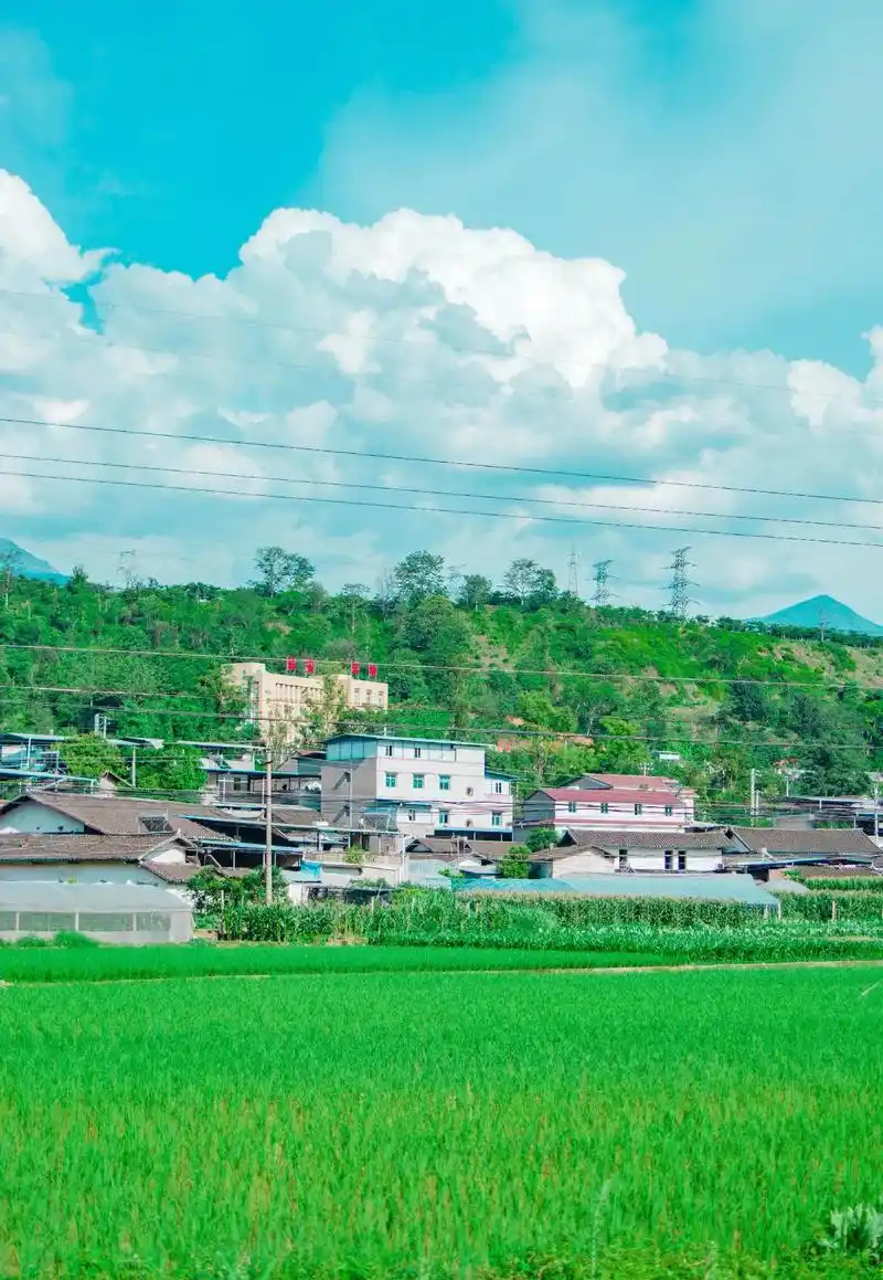 乡村田野蓝天白云夏天该有的样子