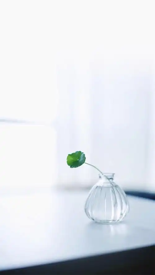 简约小清新唯美高清手机壁纸图片,风格,唯美,简约,植物,绿色,小清新