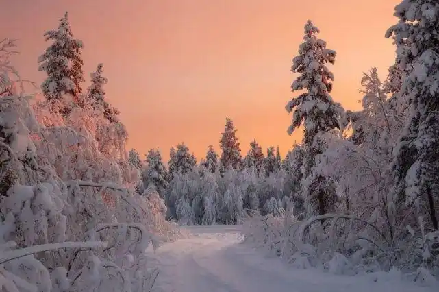 让世界安静一会,是雪的使命.100张最美的冰天雪地