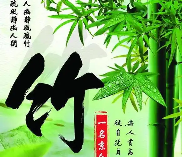 传统中国风姓氏头像,竹林简约壁纸,12张等你带走_网易订阅