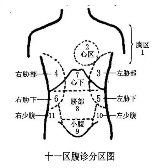 其它 我的美篇 写美篇【腹诊分区原理】 胸腹不同区域与相对应的脏腑