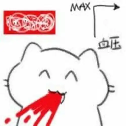 max血压肥肥猫猫表情包67斗图表情