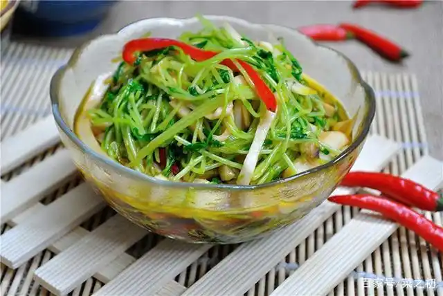 舌尖上的美食—芽苗菜