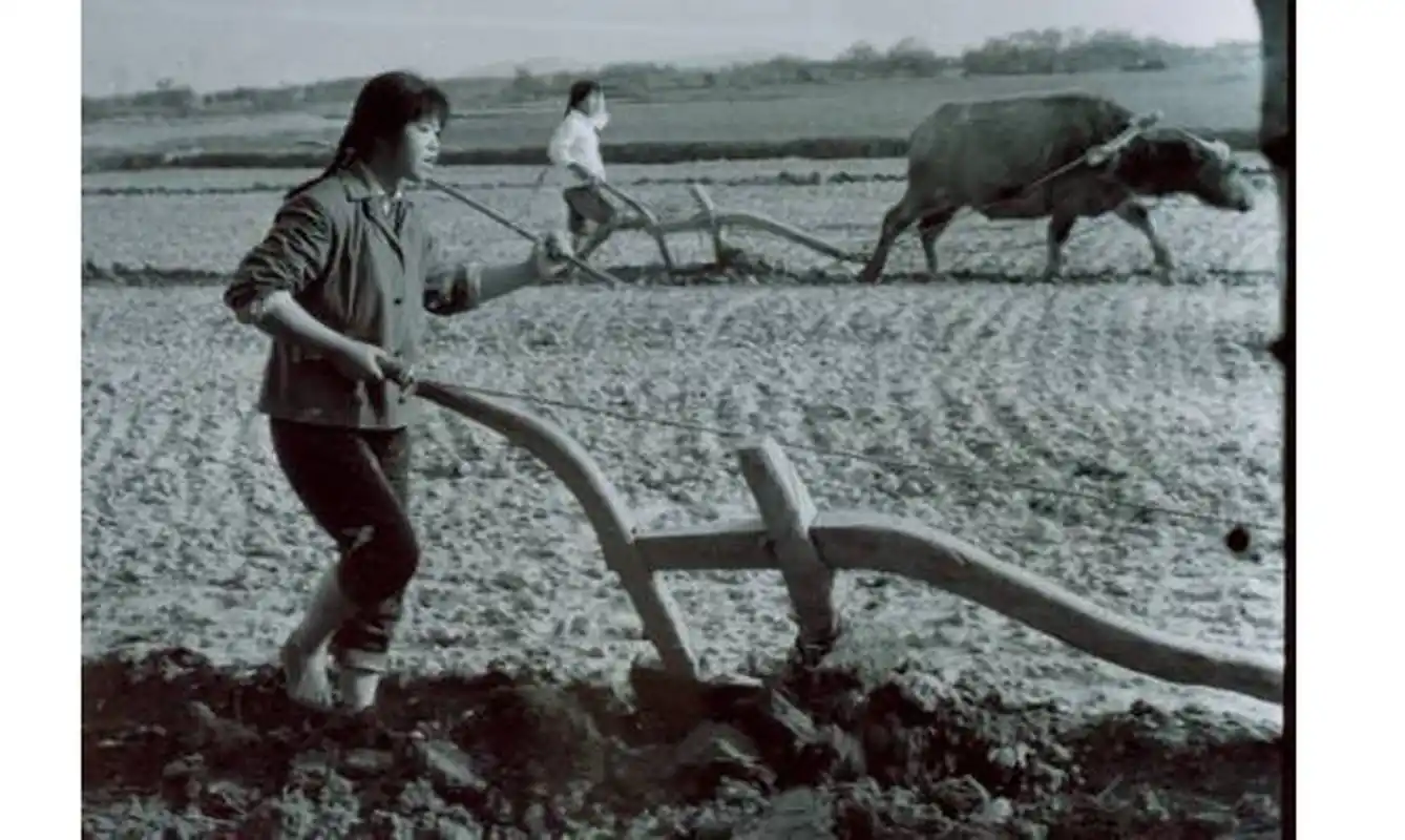 农村记忆:1970年知识青年上山下乡在生产队劳动的老照片