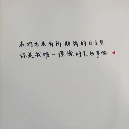 每日一句小情书
