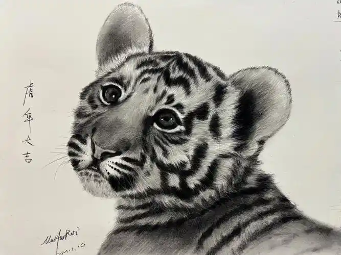 小老虎素描步骤图