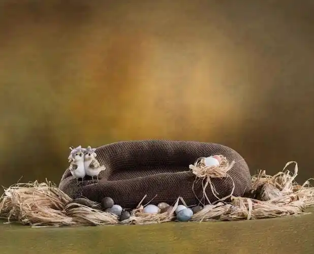 高清影楼宝宝成长3d抠图模板平面广告素材免费下载(图片编号:5818947)