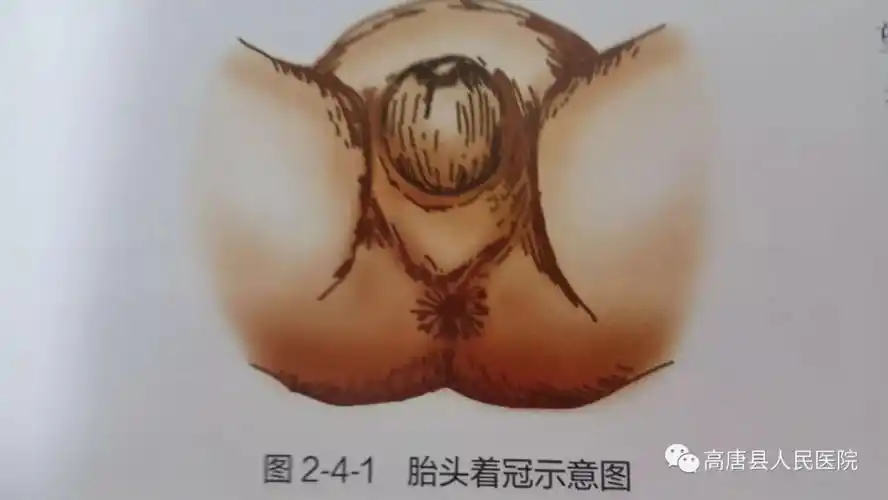 不知如何生娃?分娩前需要了解这些事情