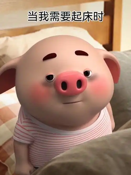 微博喜剧现场##猪小屁六周年