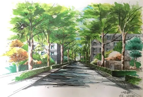 自主选择表现形式,采用水彩,速写,手绘等形式不拘一格地手绘校园美景