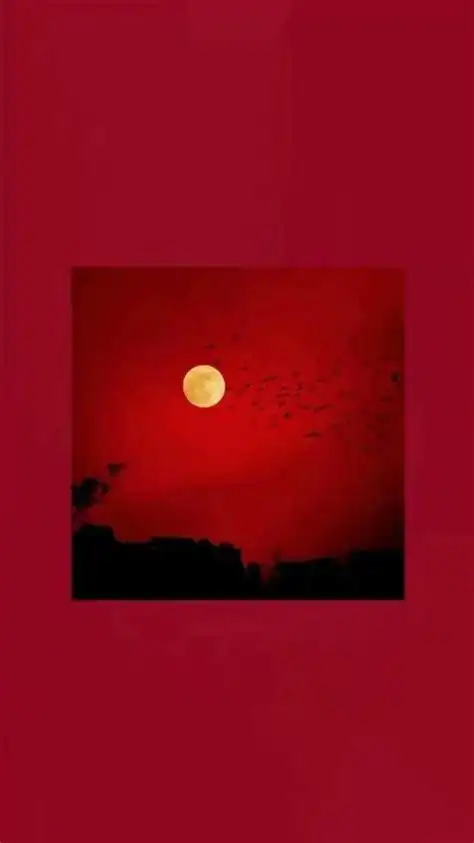 好看的红色系壁纸图片 朋友圈简约红色好运壁纸大全 - 【可爱点】