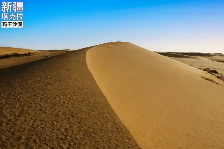 塔克拉玛干沙漠 (5)-中关村在线摄影论坛