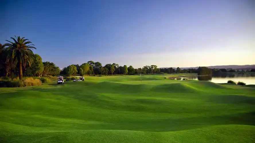 湖泊 树木 草坪 高尔夫球场 美丽的天空 2k桌面壁纸