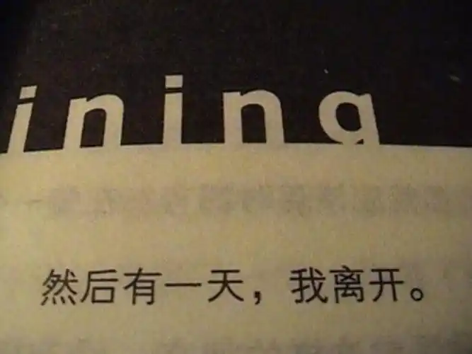 大多时候会去晒晒美景美食的照片,很少会带文字,只是想去记录下生活
