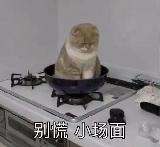 猫咪喵星人别慌小场面斗图搞笑可爱gif动图_动态图_表情包下载_soogif