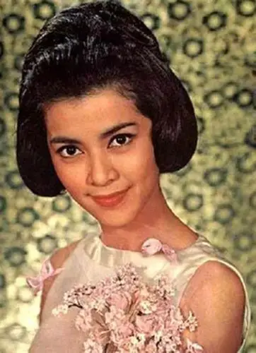 长城三公主的介绍