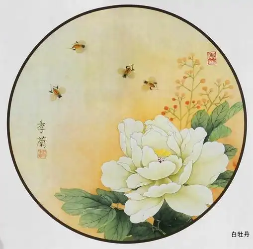 季阑工笔花鸟圆扇面29幅,色稿 白描,喜欢的收藏关注