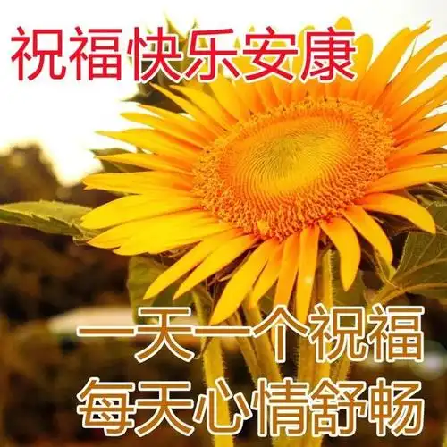 特漂亮的早上好鲜花表情图片 最新清晨唯美早安问候语集锦