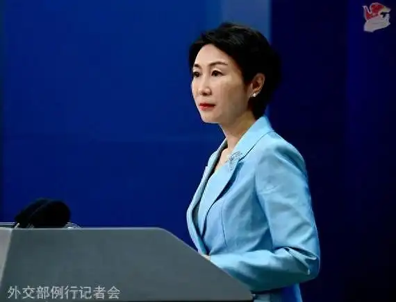 毛宁资料图.图源:外交部