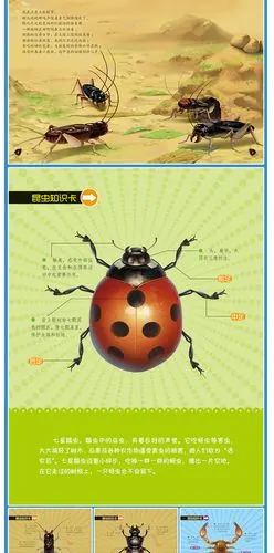 法布尔昆虫记全套10册 3-6-9岁少儿彩绘美图版 科普读物儿童百科全书