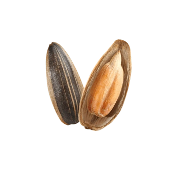 瓜子免抠元素图片-元素素材4609210-万素网