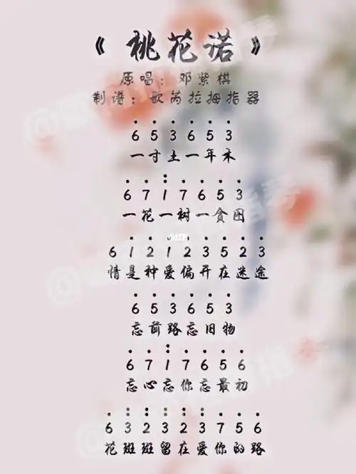 卡林巴拇指琴简谱分享合集