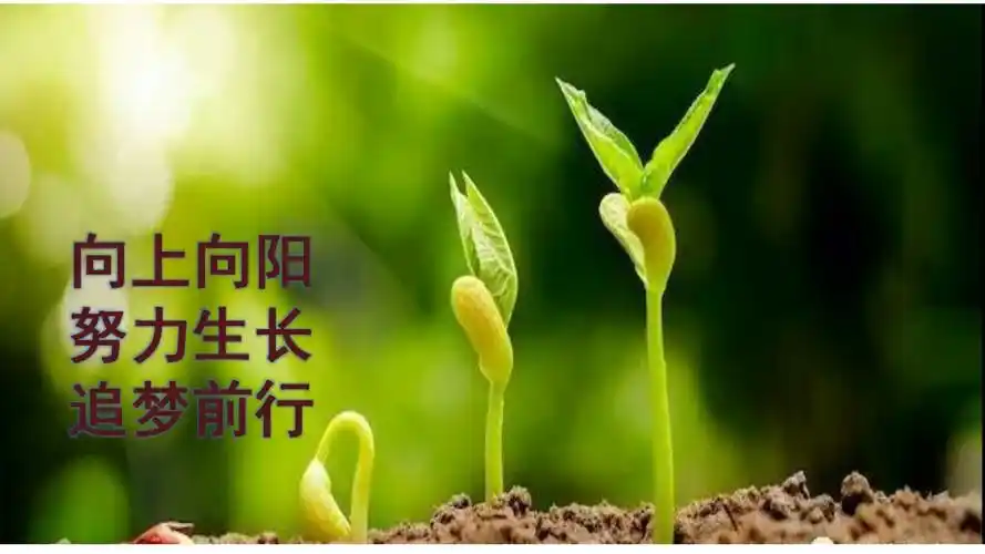 让我们"向上向阳,努力生长,追梦前行"!