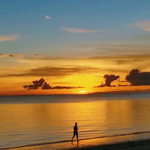 孤独的树或者披着落日余光跑步的人甚至一抹晚霞洒在了一个沙丘上单纯