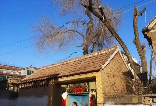 许家印老宅现状:新帖春联被撕,院里树被砍,围墙倒了用活砖垒_恒大_房