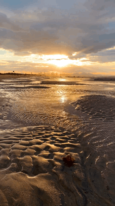 227_404gif 动态图 动图