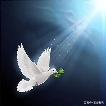 圣父,圣子,圣灵是三位一体的真神!圣经上这些经文你没读过吗?