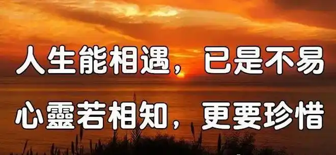 人生能相遇已是不易心灵若相知更要珍惜