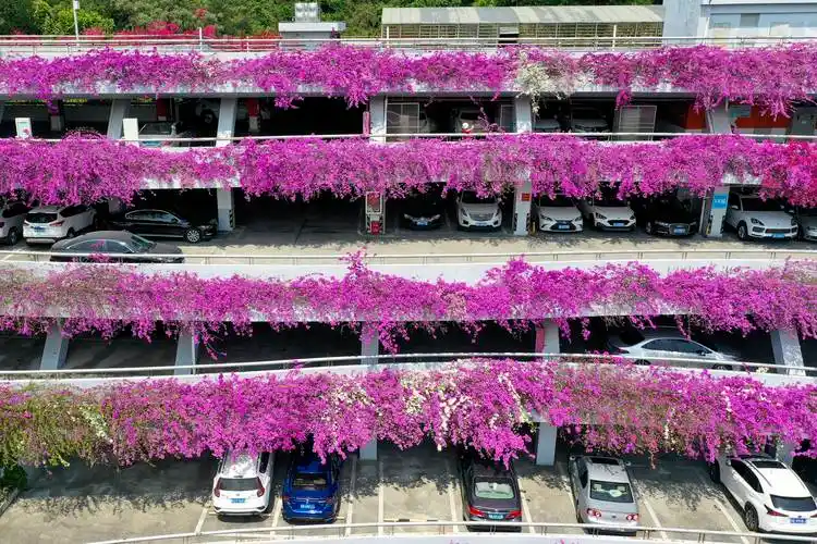 看!"深圳最美"停车场
