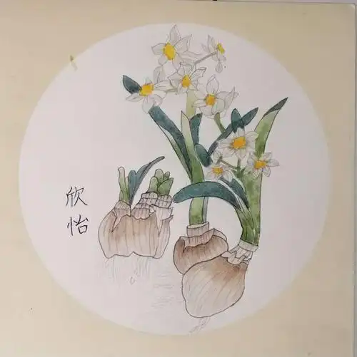 工笔作品《水仙花》